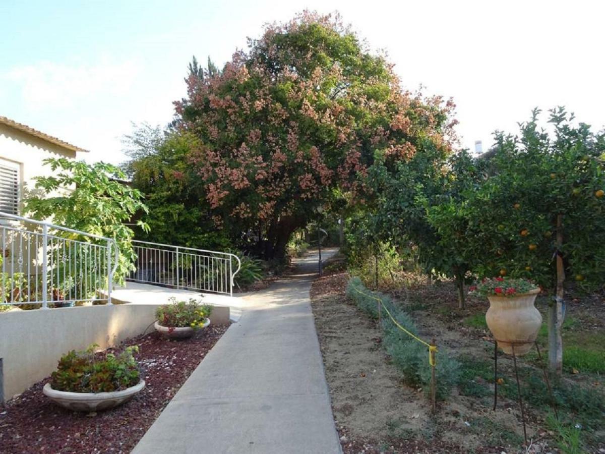 Beautiful Apartment In Kibbutz Yifat Yif'at 외부 사진
