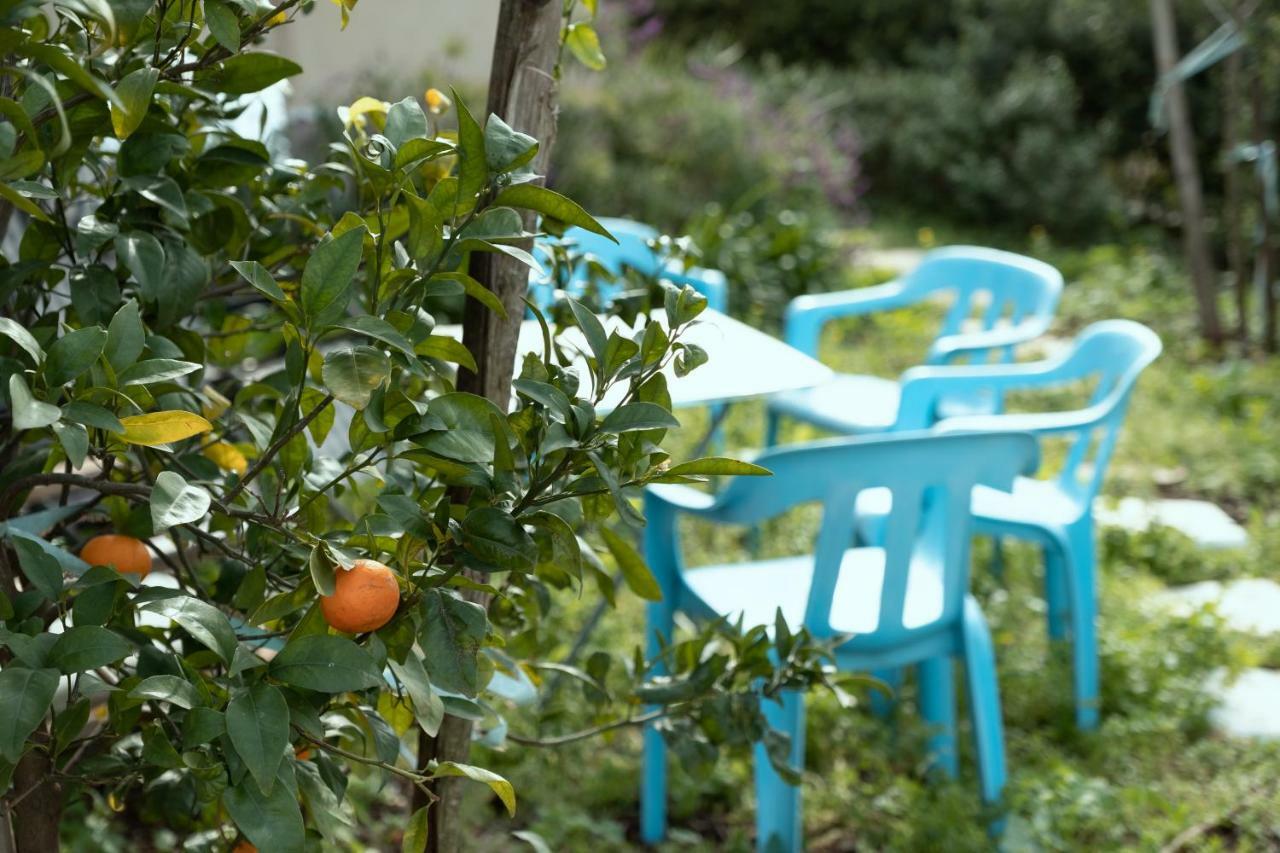 Beautiful Apartment In Kibbutz Yifat Yif'at 외부 사진